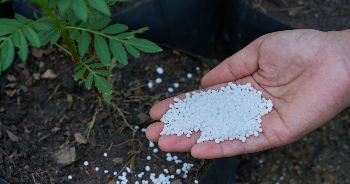 Mercado de Urea en Argentina