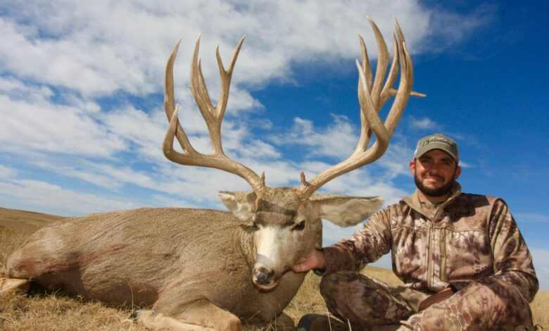 Trophy WhiteTail Hunting