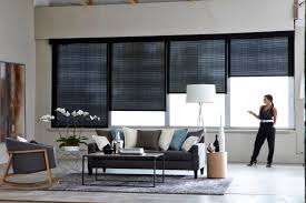 motorized blinds