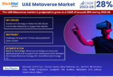 UAE Metaverse Market