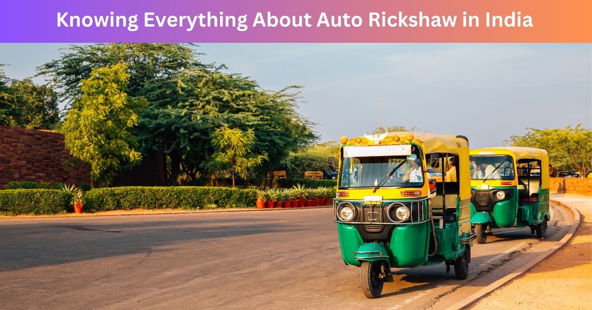 Insights of Auto Rickshaw in India