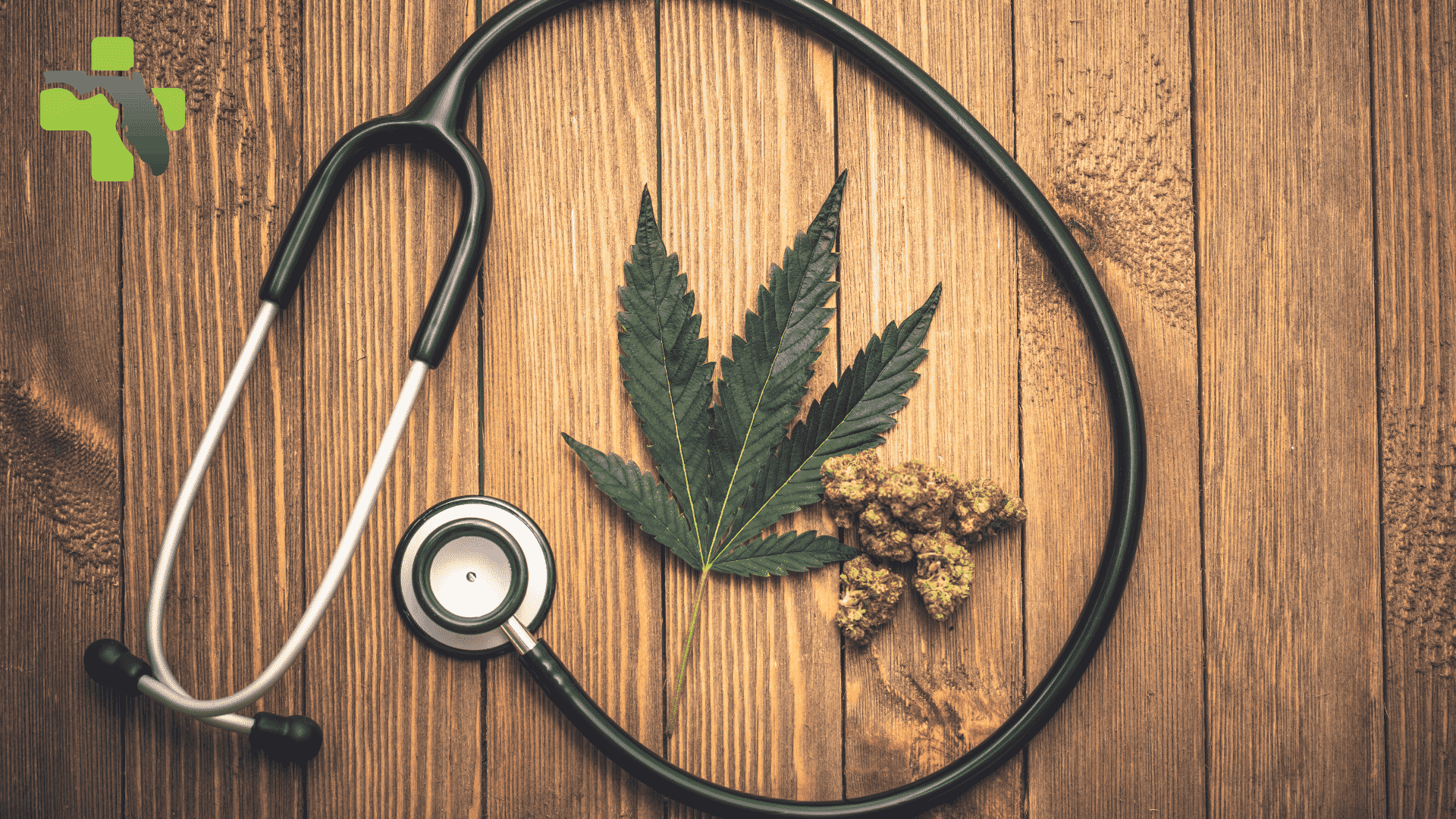 Can Medical Cannabis improve Gut Health