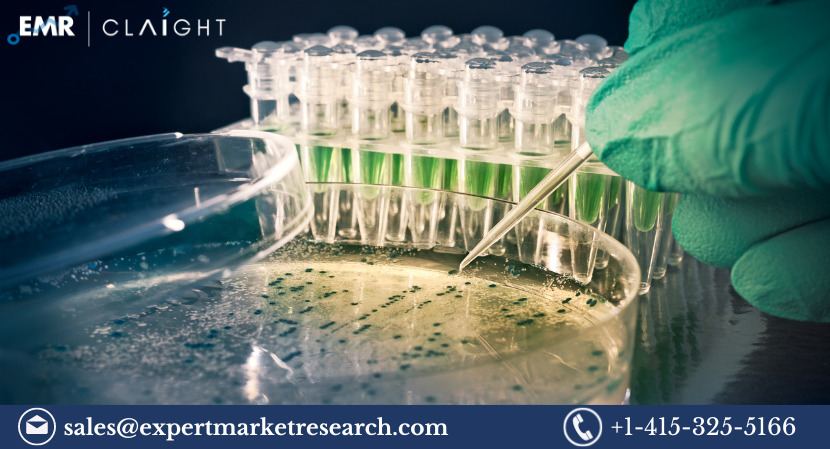 Global Cloning and Mutagenesis Market