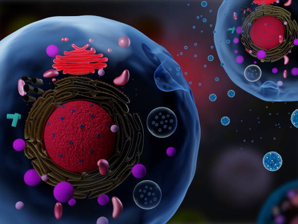 Exosome Therapy in Abu Dhabi