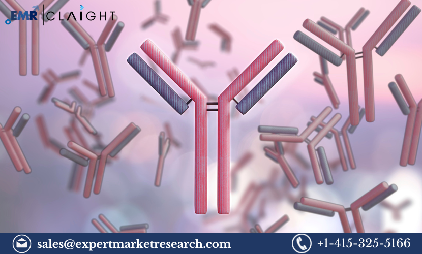 Immunoglobulin